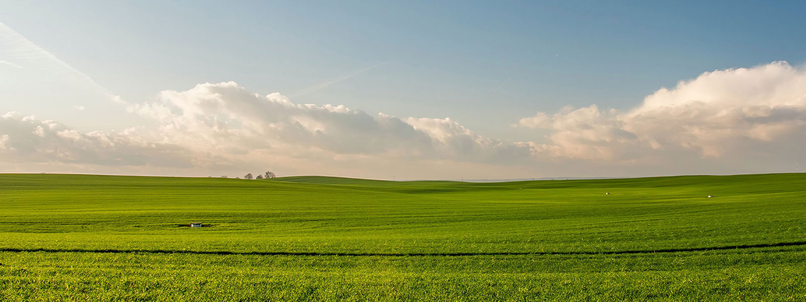 Wycena nieruchomości rolnych i leśnych